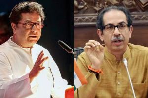 “…तेव्हा उबाठा गटाचे सैनिक बच्चे होते”, मराठी पाट्यांच्या मुद्यावरून मनसेचा टोला Raj Thackeray Uddhav Thackeray