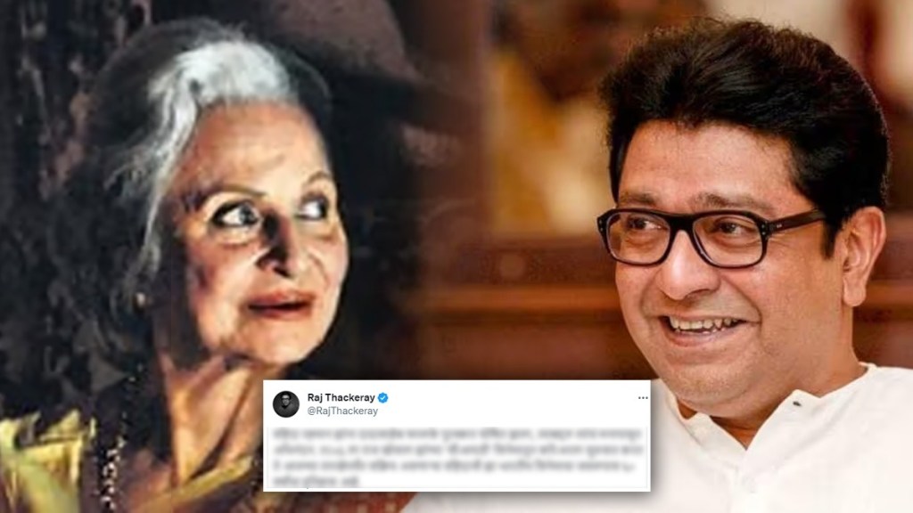 What Raj Thackeray Said?