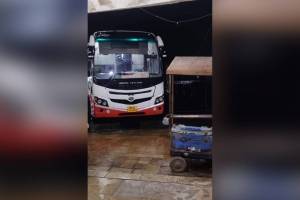 धक्कादायक! मद्यपि चालकामुळे कंडक्टरवर बस चालण्याची वेळ conductor, ST bus, driver, drunk, duty, Shrivardhan, mumbai