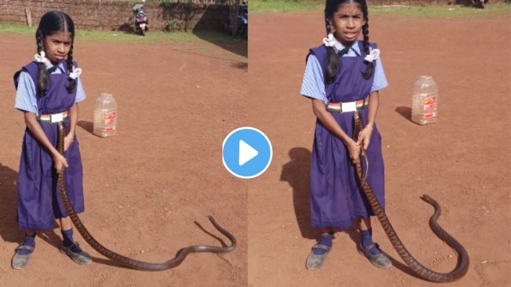 Indian Snake Shocking Video Viral