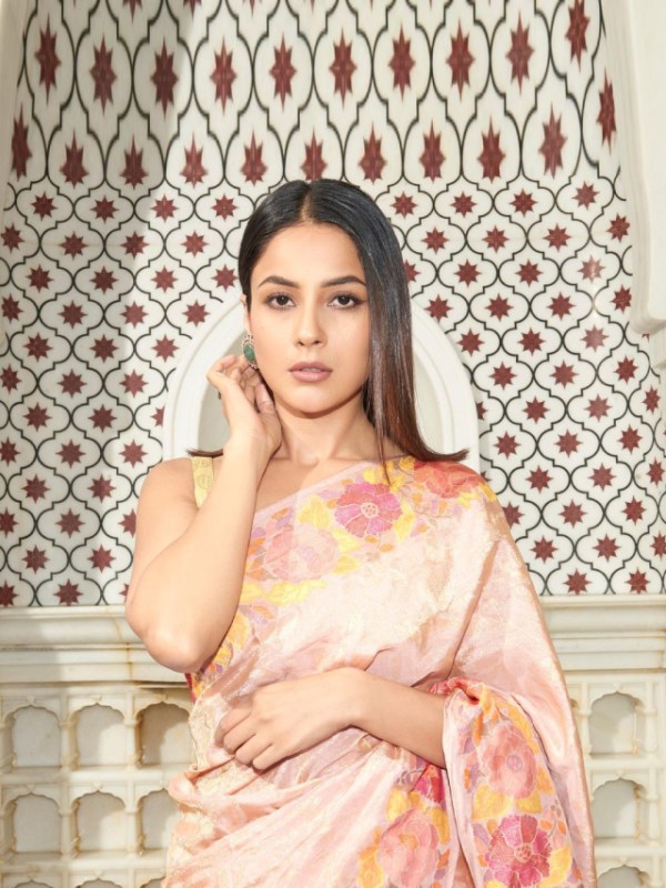 Shehnaaz Gill Floral Print Saree
