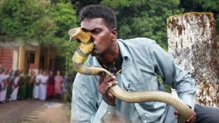 Shetphal Village Land of Snakes in Maharashtra
