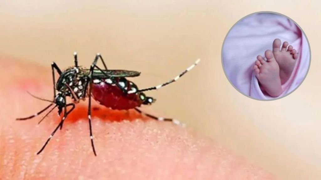Two children die due to dengue-like illness