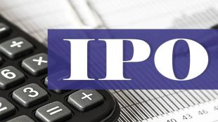 WAPCOS-IPO
