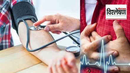 WHO hypertension report