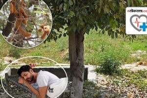 Why is sleeping under a tamarind tree considered scientifically forbidden?