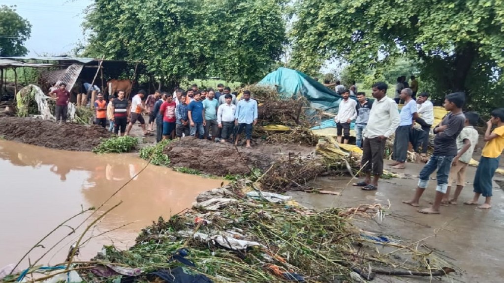 Heavy rain Nandura taluka