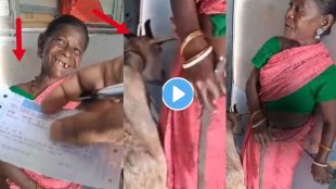 Woman With Goat Train Video Viral