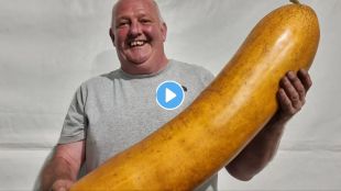 Farmer Grows World Heaviest Cucumber