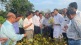 nagpur Dr. Anil Deshmukh reached dam farmers know yellow mosaic disease soybean crop