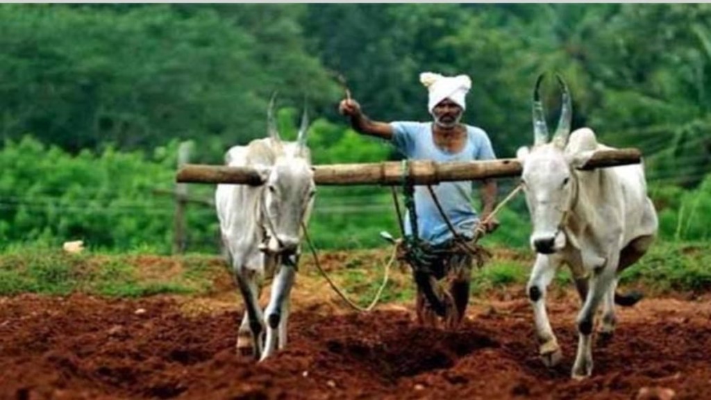 gondia farmers worried due to lack of rain
