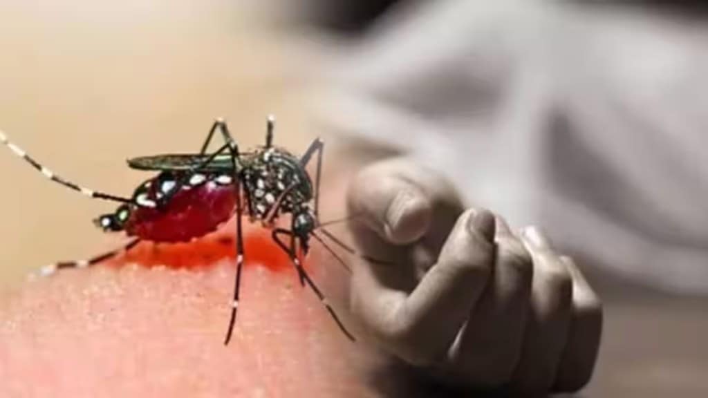 panvel 17 year old girl die due to dengue