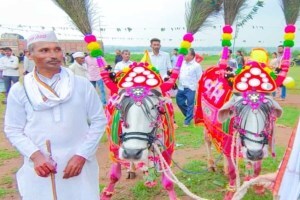 परंपरागत झडत्यांनी आणली बैलपोळ्यात रंगत; बैलांचे पूजन करून बळीराजाने व्यक्त केली कृतज्ञता Bailpola, traditional bailpola, bailpola gondia, bailpola by farmers in gondia, zadtya in bailpola
