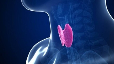 thyroid surgery, thyroid surgery within 15 minutes on a woman, microwave ablation, bhabha hospital mumbai