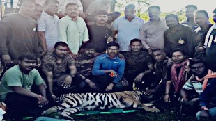 tadoba veterinary officer ravikant khobragade, ravikant khobragade caged 59th tiger in chandrapur