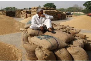 “साहेब… आमच्या धानाचे दर कधी ठरवणार?” गोंदिया जिल्ह्यातील धान उत्पादकांचा प्रश्न; शेतकऱ्यांचे हमीभावाकडे लक्ष … gondia farmers, guaranteed price for food grains, farmers want guaranteed price for their foodgrains