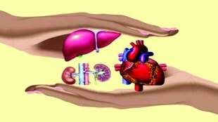 pune organ donation, organs donated in pune, brain dead organs donated, 3 lifes saved from the donated organs in pune