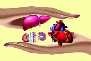 pune organ donation, organs donated in pune, brain dead organs donated, 3 lifes saved from the donated organs in pune
