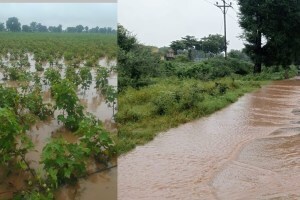 jalgaon district heavy rain, heavy rainfall in jalgaon, flood in jalgaon