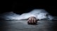 dead body found at khambatki ghat, khambatki ghat pune, pune college student dead body found at khambatki ghat
