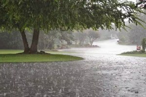 सावधान! तीन दिवस राज्याच्या वेगवेगळ्या भागात ‘यलो अलर्ट’ maharashtra rain update, yellow alert given in maharashtra, rain yellow alert for 3 days