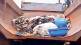 large number of shoe accumulated in kolhapur