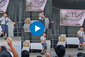 ‘बादल बरसा बिजुली’ गाण्यावर चिमुकल्याने केला जबरदस्त डान्स, व्हिडीओ पाहून तुम्हीही व्हाल त्याचे चाहते The little one did a great dance on the song Badal Barsa Bijuli after watching the video you will also become a fan of it