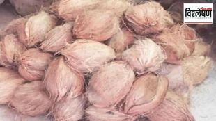 coconut turnover in festival