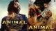 ranbir-kapoor-upcoming-film-animal