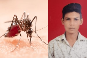 जळगावात डेंग्यूने तरुणाचा मृत्यू; तीन मुले बाधित 19-year-old youth died dengue three children diagnosed Jalgaon