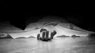 farmer dies head injury snakebite sinnar nashik