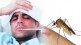 dengue, Malaria patients continuously increasing Panvel