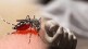 student Kinhi yavatmal died dengue-like illness
