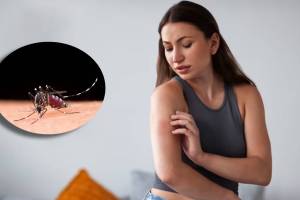 फक्त १० रुपयांत घरातील डासांपासून मिळवा कायमची सुटका; करा फक्त ‘हे’ सोपे उपाय diy mosquito repellent refill at home