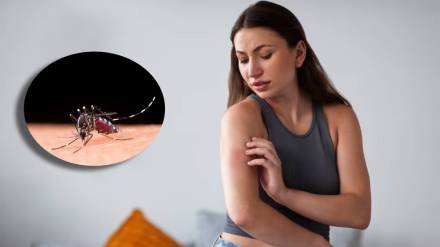 diy mosquito repellent refill at home
