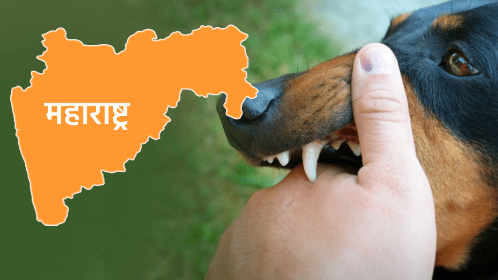 11 lakh people bitten stray dogs Maharashtra three years
