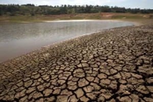 drought , Drought like condition arose in 13 out of 36 district