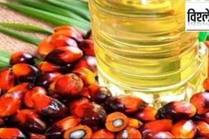import of edible oil