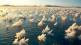 Frost Flowers on the surface of ocean