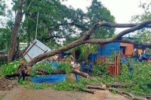 झाड पडल्याने एक जण जखमी तर त्याभागातील विद्युत पुरवठा खंडीत falling tree in thane