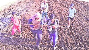 farmer