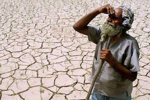 “महाराष्ट्रात सात महिन्यांत १,५५५ शेतकऱ्यांच्या आत्महत्या”, विजय वडेट्टीवारांची माहिती farmers suicide
