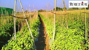 farming