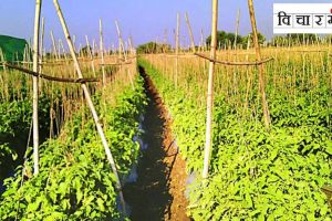 farming