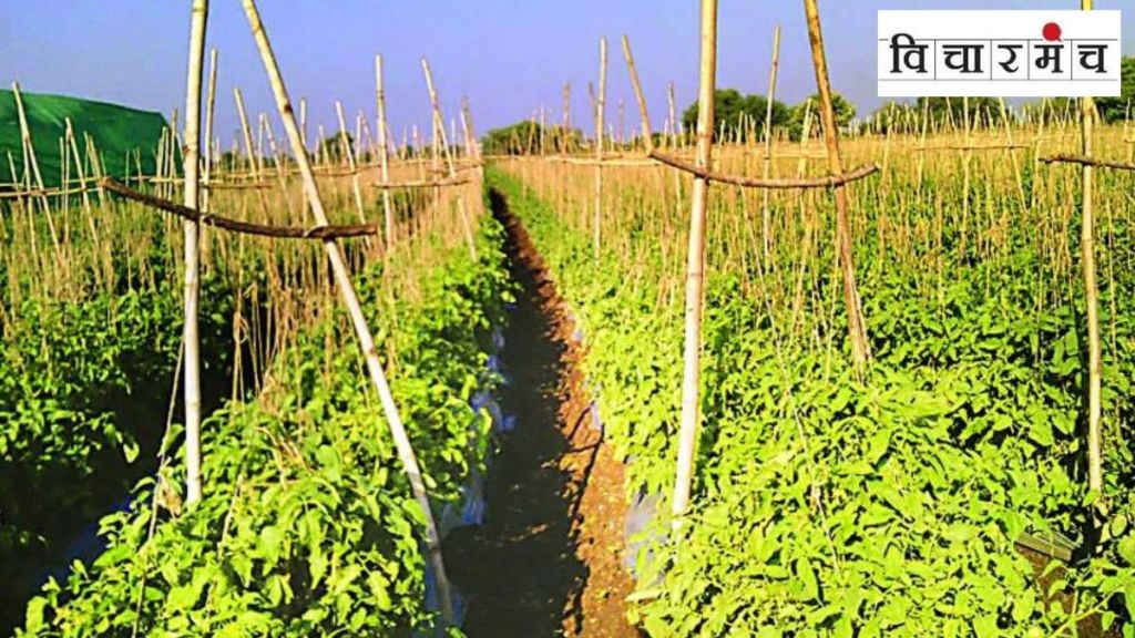farming