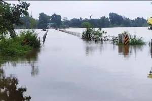 flood situation in Bhandara district after wainganga river crosses danger level