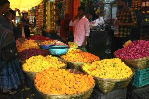 नागपूर : महालक्ष्मीच्या हारासाठी मोजावे लागताहेत तब्बल तीन हजार! flower necklace costs three thousand