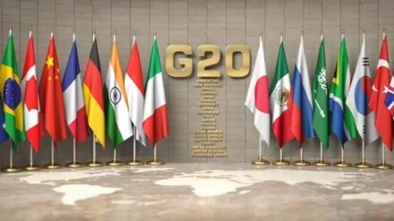 g 20