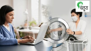 balance between role of housewife and own carrer