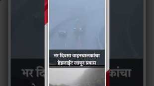 Driving is hampered due to fog at Borghat on Pune Mumbai route